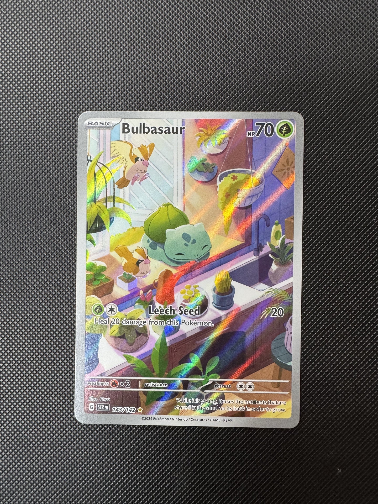 Bulbasaur 143142