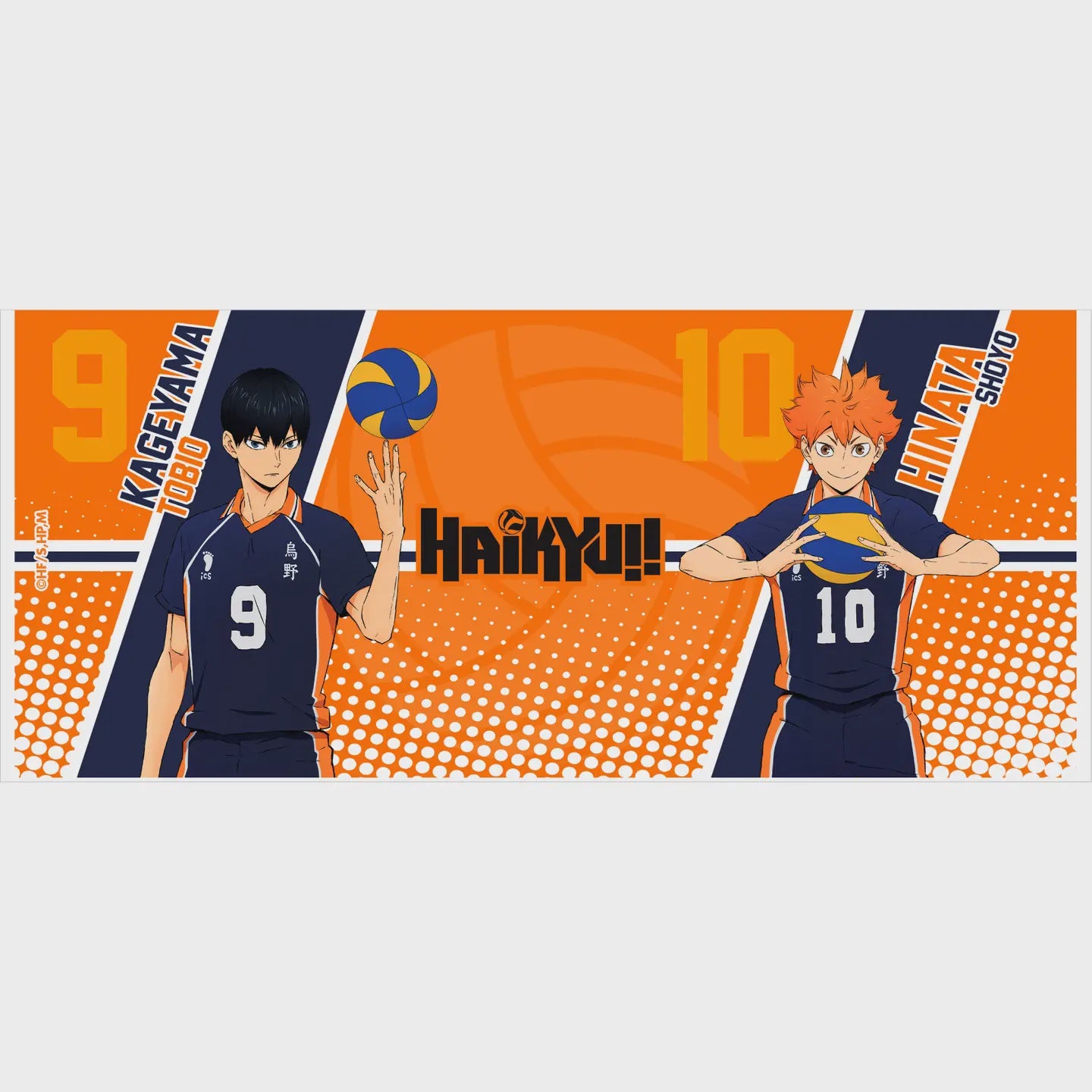 Haikyu Hinata  Kageyama Ceramic Coffee Tea Mug 11 Fl Oz