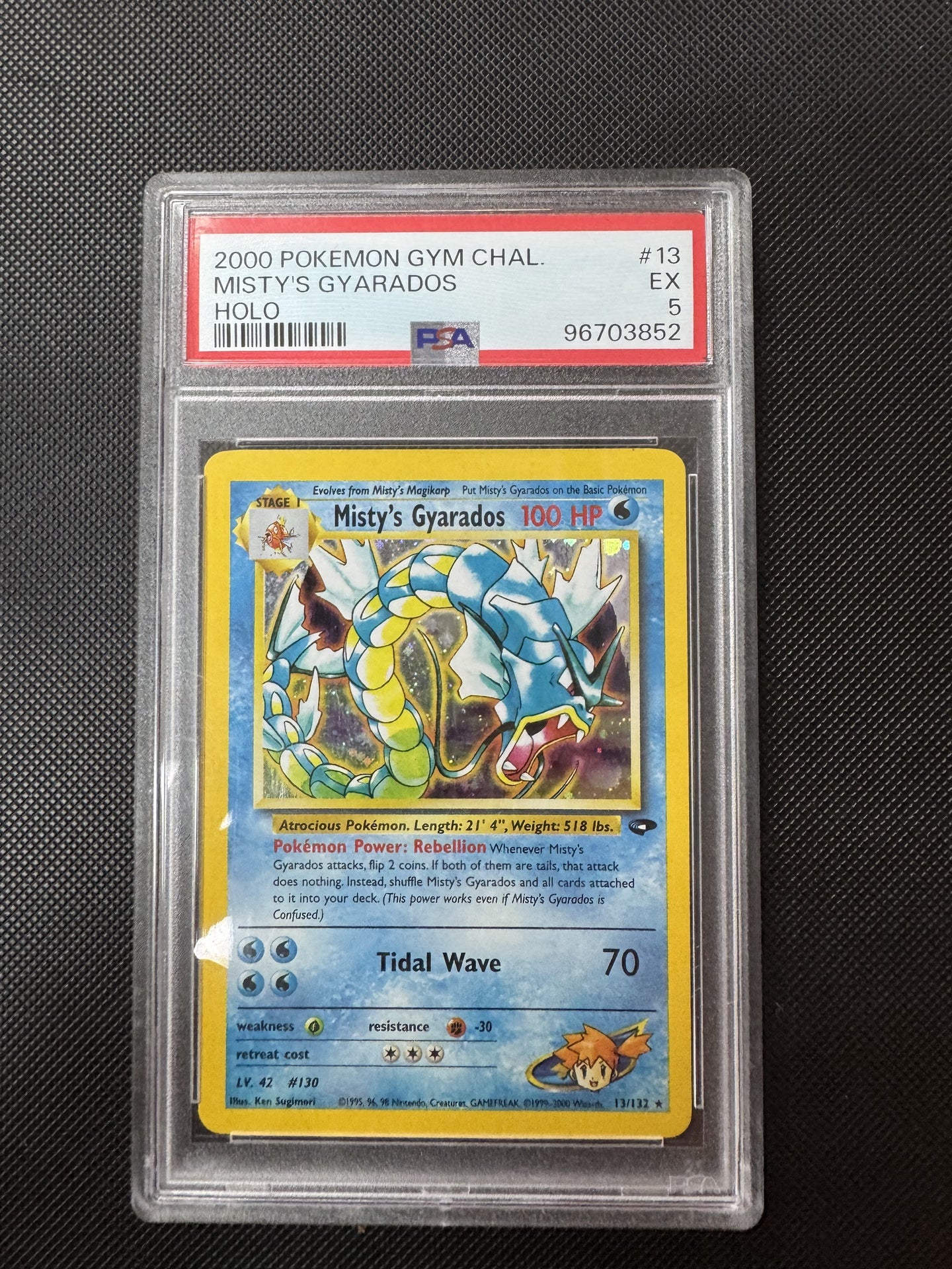 Mistys Gyarados 13 Psa 5