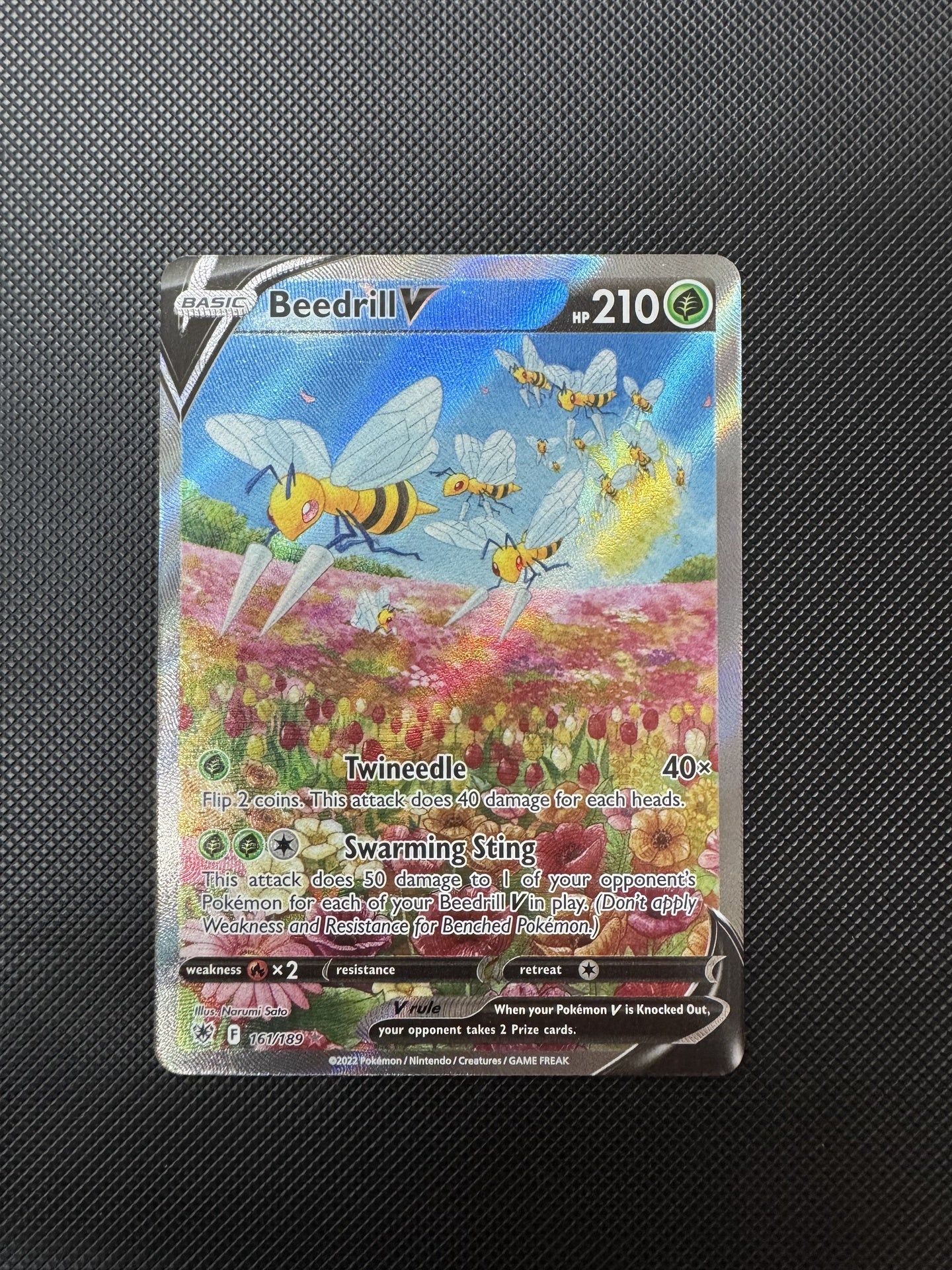 Beedrill V 161189