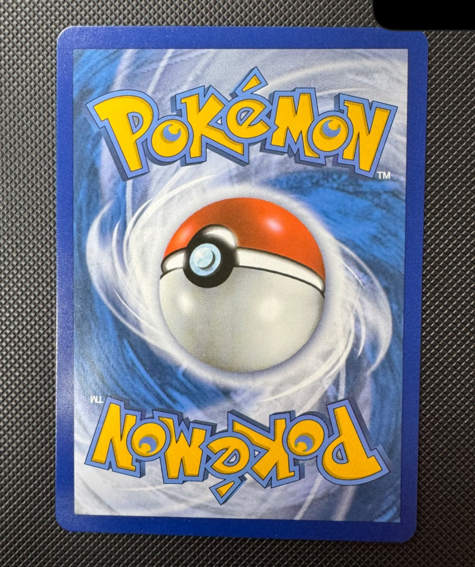 Gyarados Chase