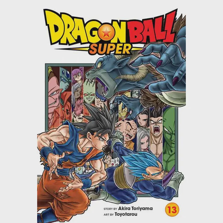Dragon Ball Super Vol 13